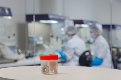 Example of 3D printed bones in the Lab of ICMP in The Hague.