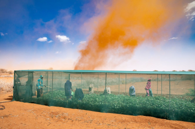Source: Mercy Corps Climate Action campaign in Kenya Emillstein