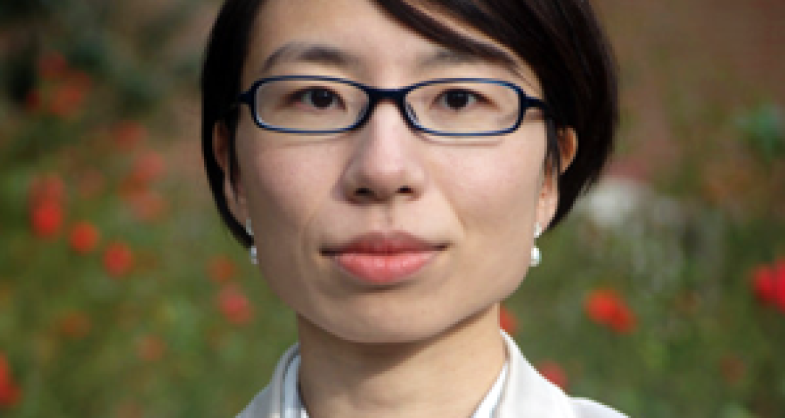 Machiko Kanetake Academic Director and the Chair of the Executive Board of the T.M.C. Asser Instituut.