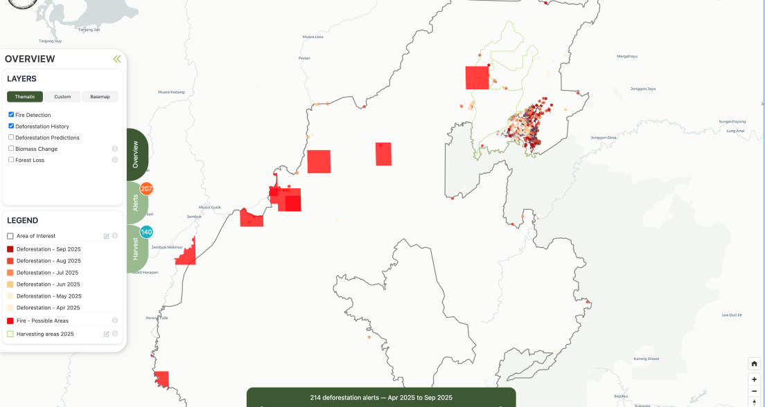 Overview of deforestation areas in 2025 with alerts.