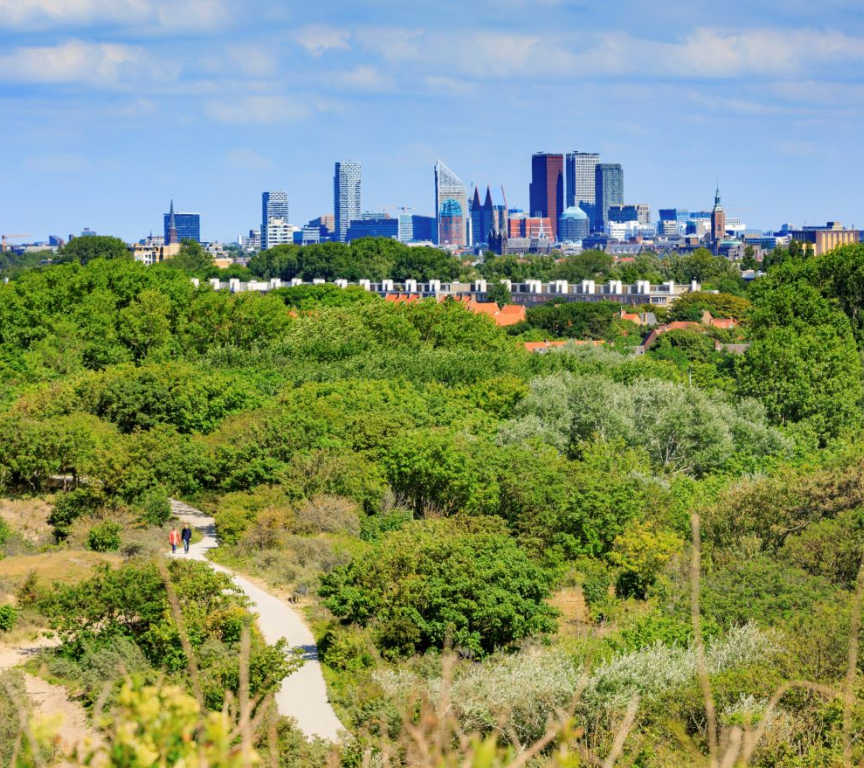 Skyline The Hague view from the dunes Low res