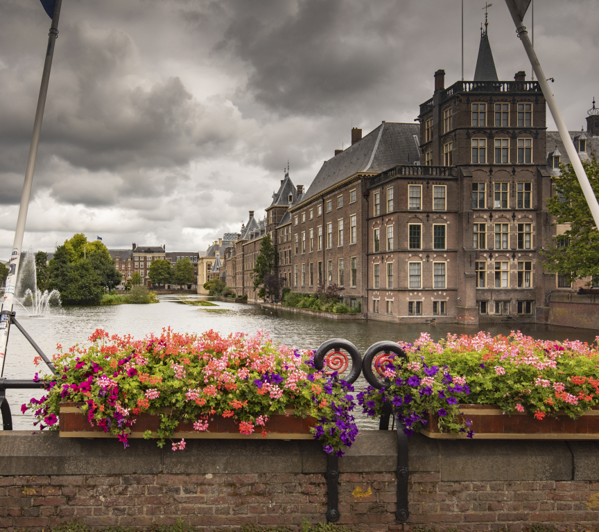 View of the Hofvijver with flowers and cloudy sky.