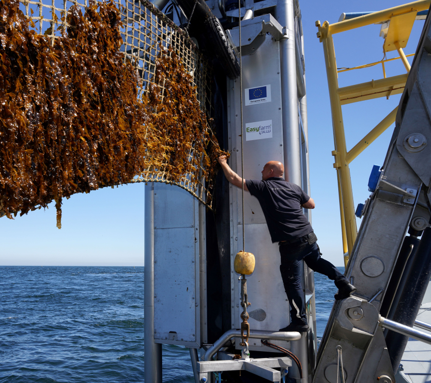 Harvesting Seaweed picture made by Jurriaan Brobbel Fotografie