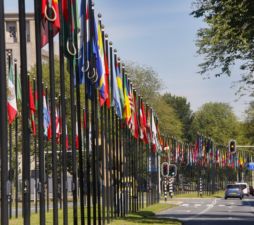 Johan de Wittlaan The Hague International Zone