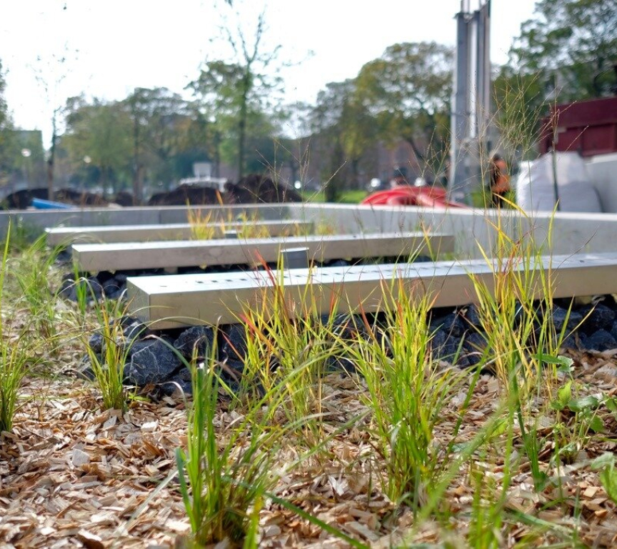 Urban Water Buffer CromvlietPark The Hague, photo credits for Valerie Kuypers