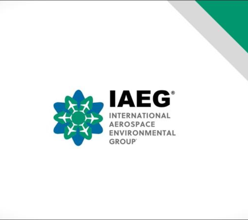 Logo of the International Aerospace Environmental Group