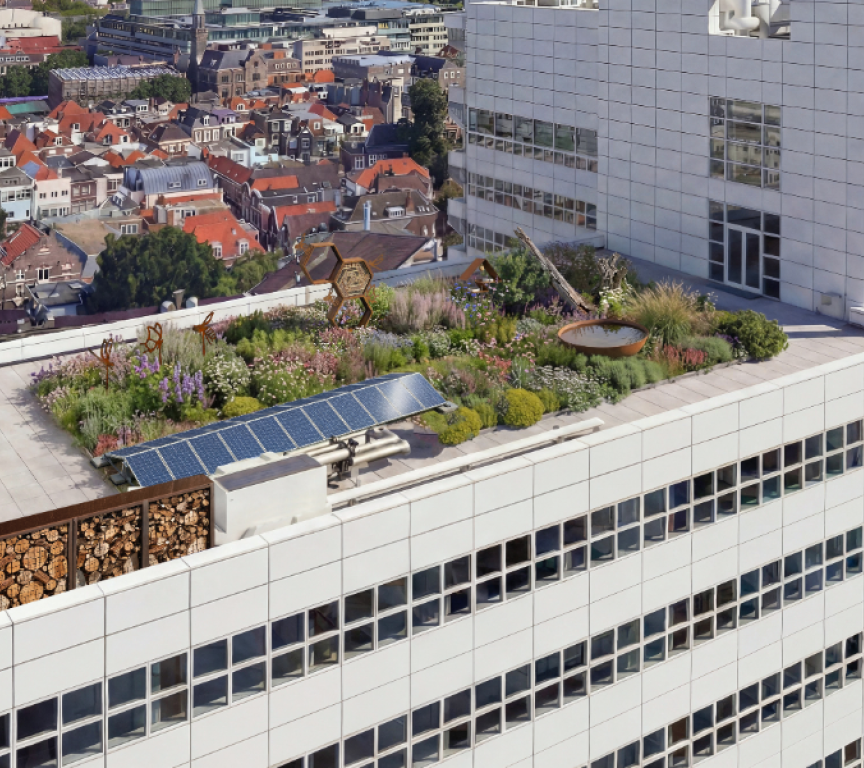 A green rooftop garden with flowers and solar panels on a building in The Hague.