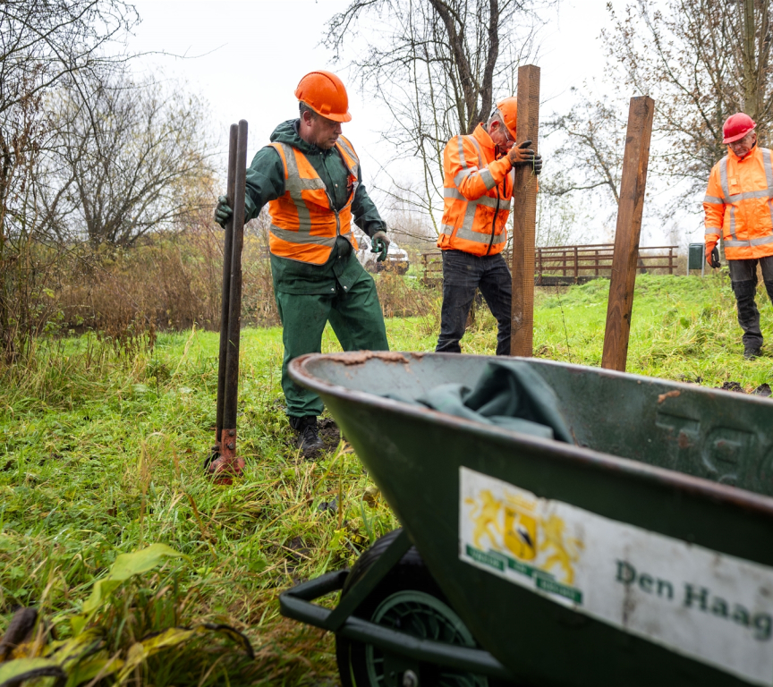 Three workers in safety vests are planting posts in the ground.
