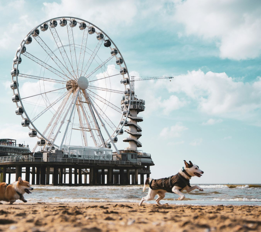 De Pier Scheveningen