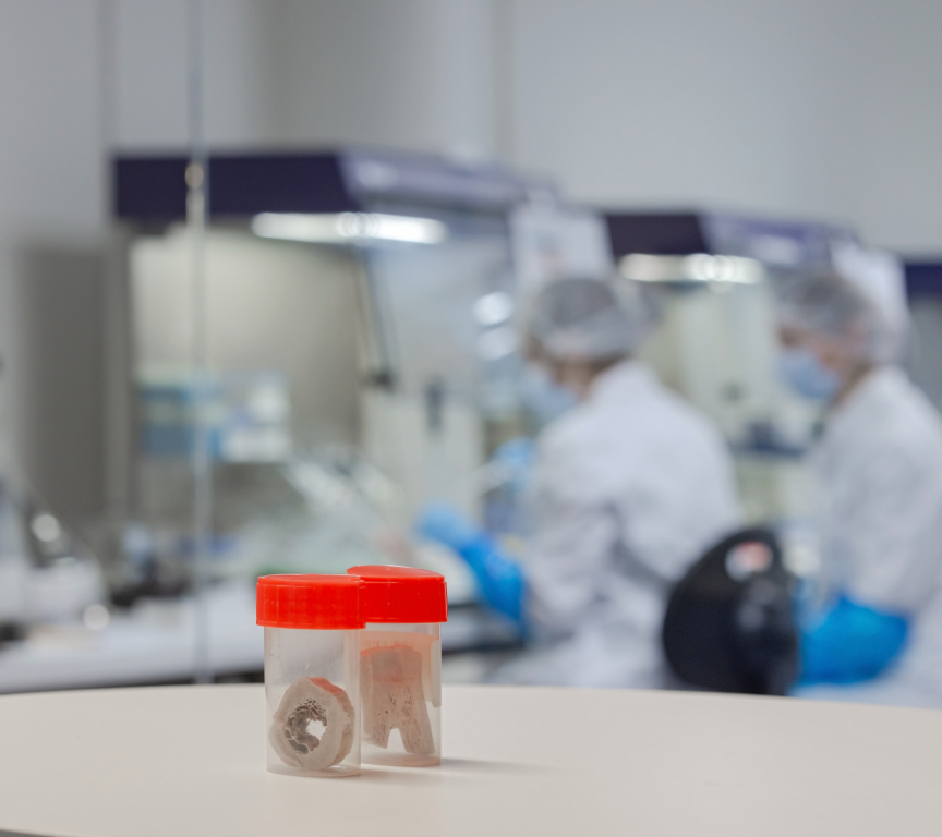 Example of 3D printed bones in the Lab of ICMP in The Hague.