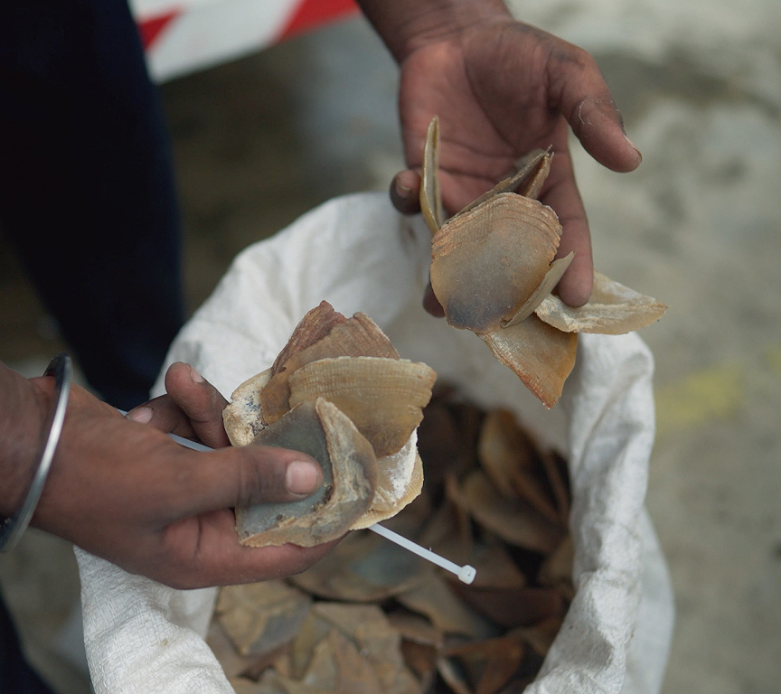 Person inspecting a sack of pangolin scales.