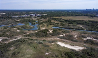 Protected bird resting areas behind the dunes in The Hague. Source The Hague and Partners - free of rights