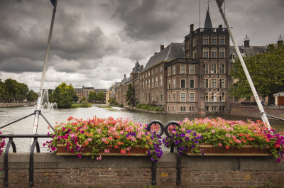 View of the Hofvijver with flowers and cloudy sky.