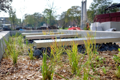 Urban Water Buffer CromvlietPark The Hague, photo credits for Valerie Kuypers