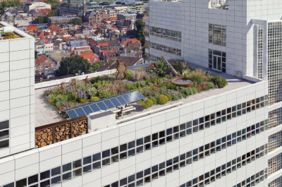 A green rooftop garden with flowers and solar panels on a building in The Hague.
