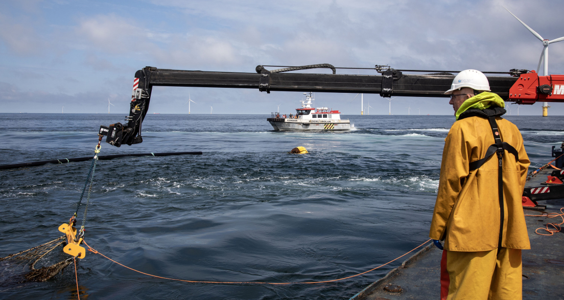 Seaweed farms within wind farms AMAZON-NorthSeaSeaweed picture credits ©KLOET-16dd11072025