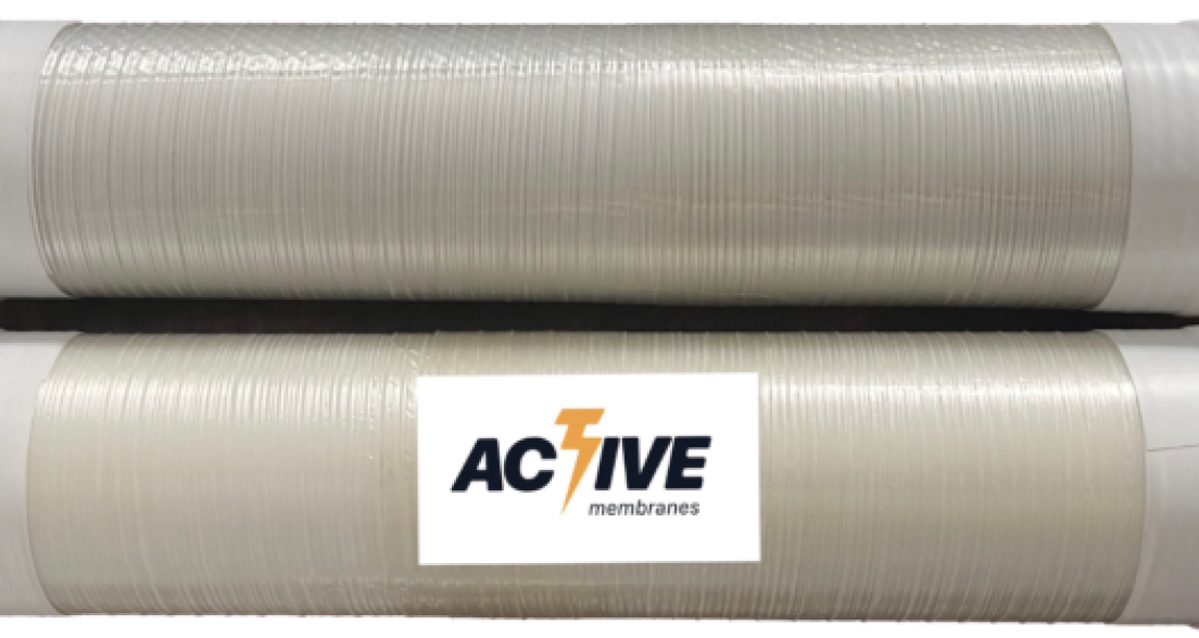 Active Membranes
