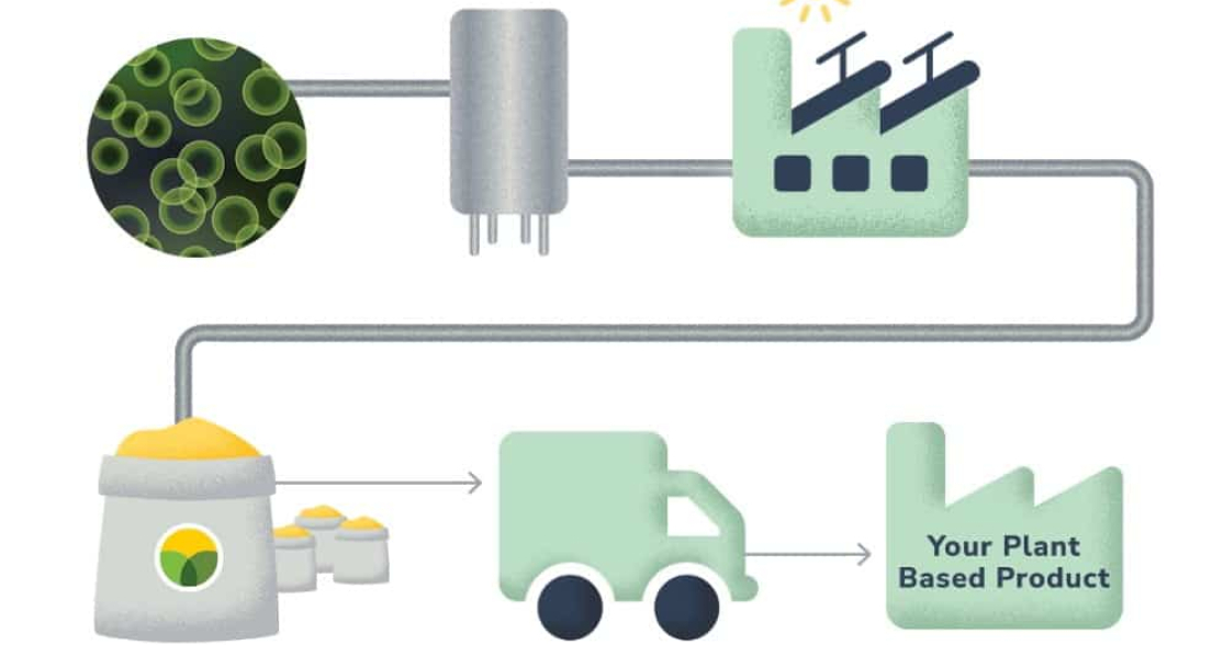 Brevel Supply Chain
