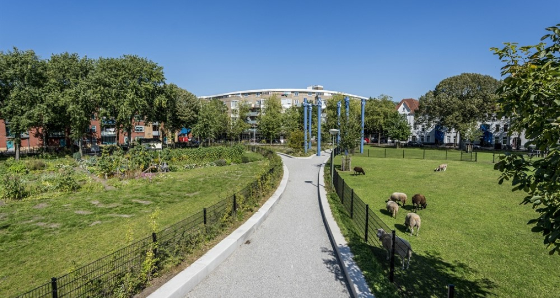 Urban Water Buffer Cromvlietpark Square, photo credits Valerie Kuypers