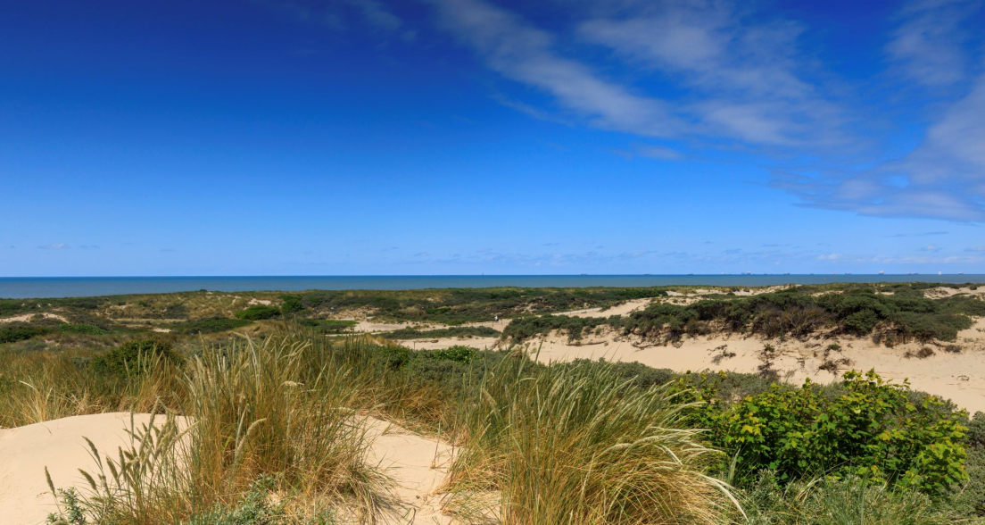 Dunes The Hague 