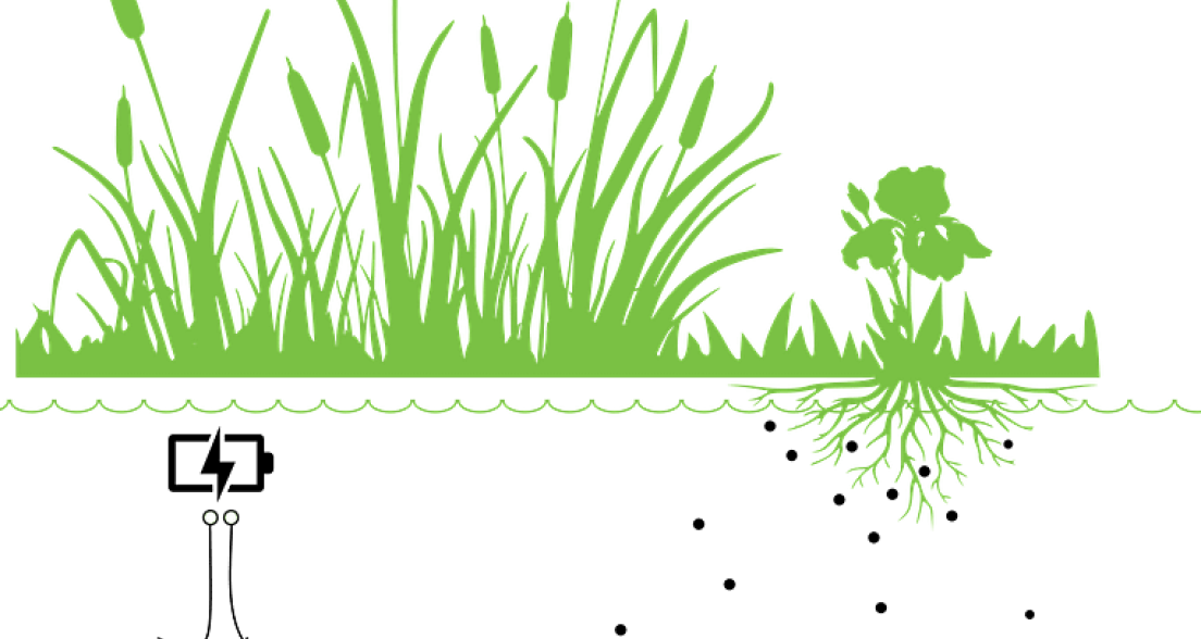 Plant-e Knowledge BV technology explained