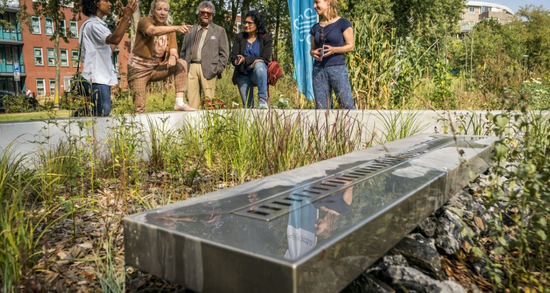 Urban Water Buffer Cromvliet. Photo credits Valerie Kuypers
