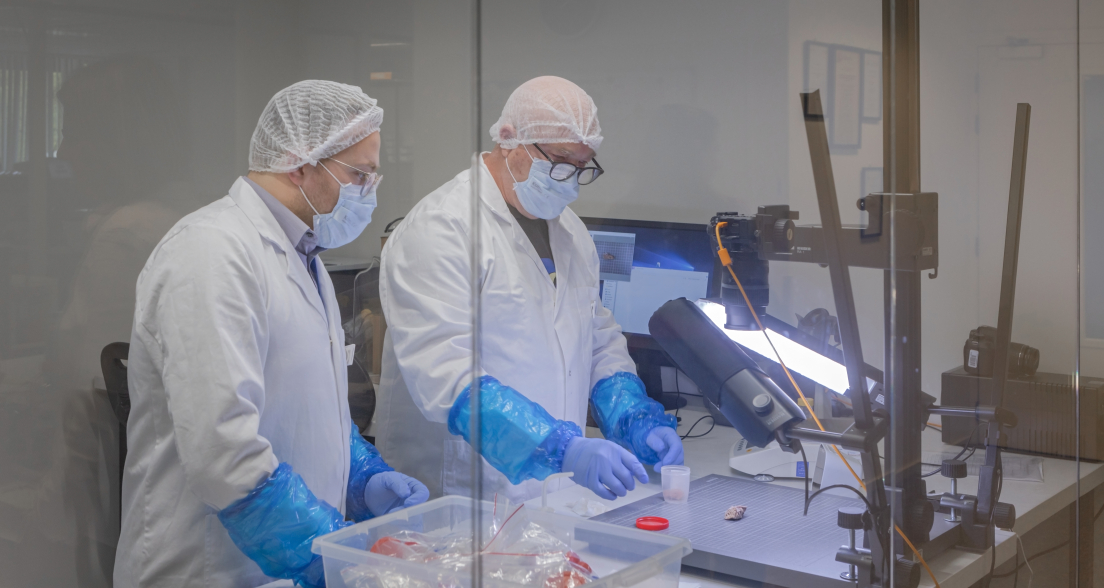 People at work in the lab of ICMP