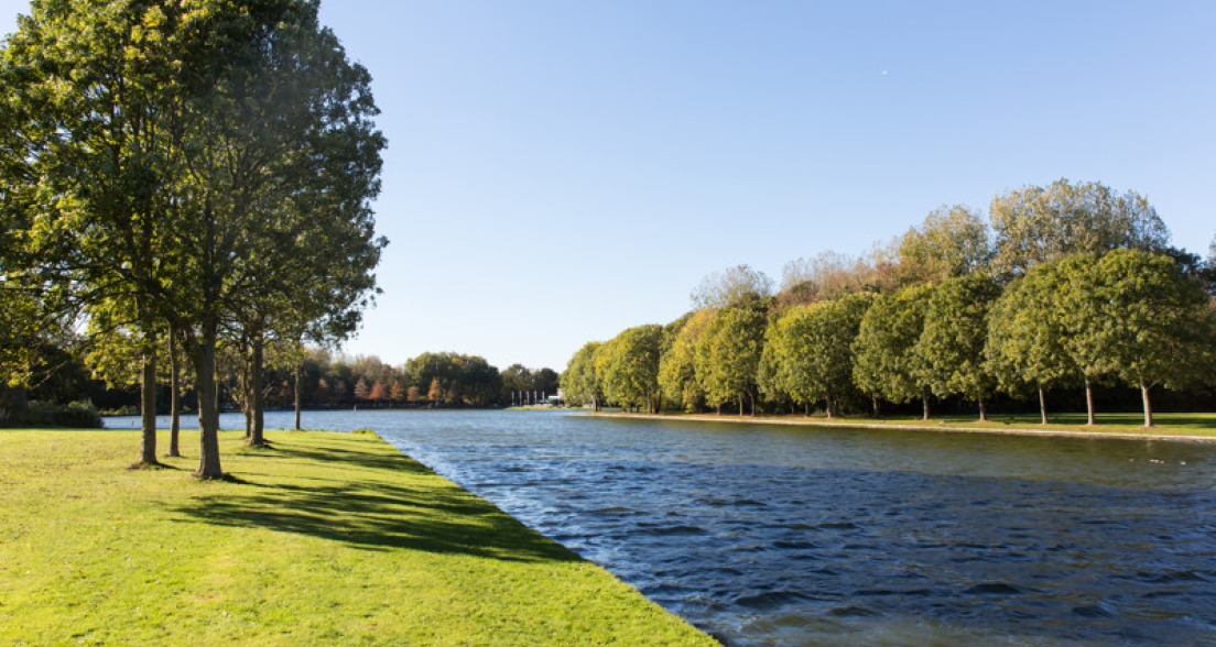 madestein-treelined-lake. credit: Henriette Guest 