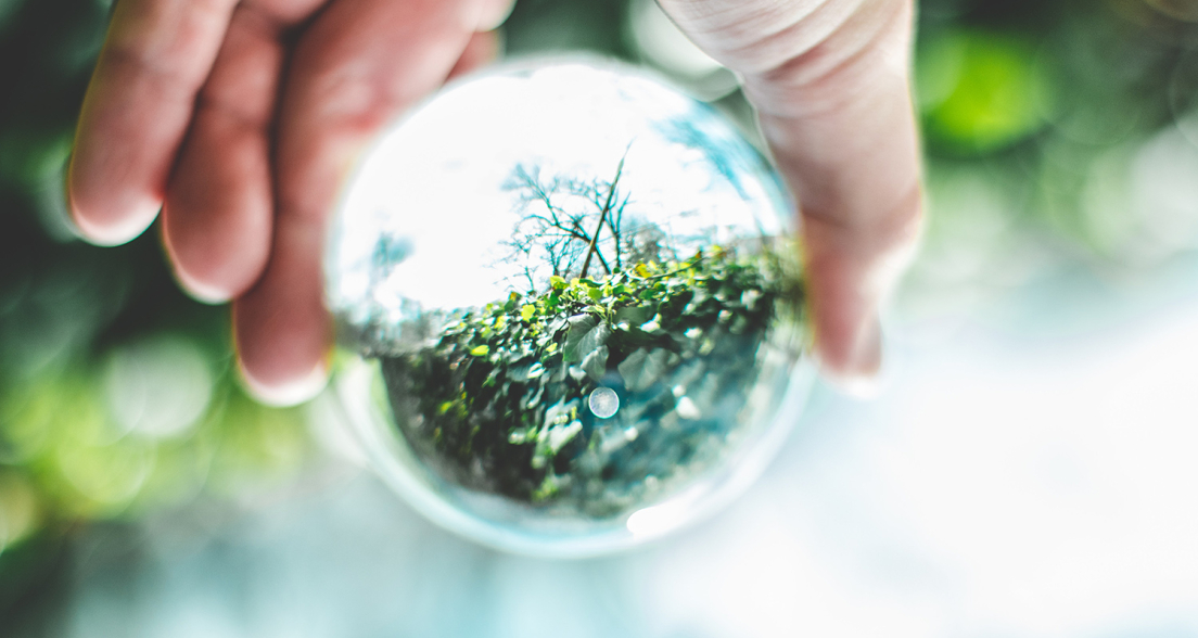 seeing nature through a transparent ball 