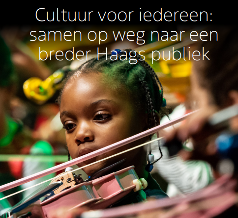 Publiekscultuuronderzoek