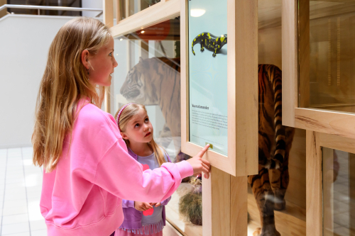 Two children are looking at an information panel about a fire-bellied toad.
