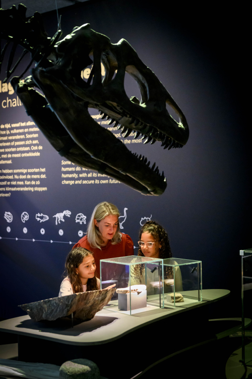 Two children and an adult examine a dinosaur skull in a museum.