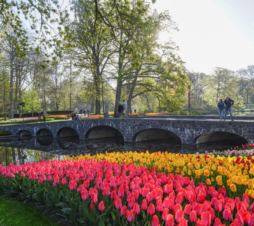 Keukenhof