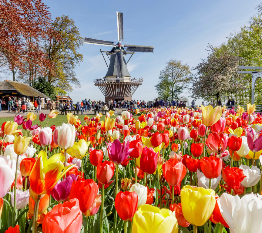 Keukenhof