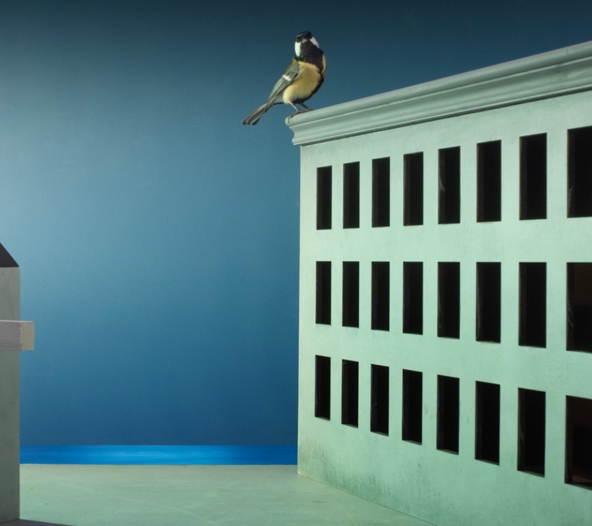 A bird is perched on the edge of a green building.