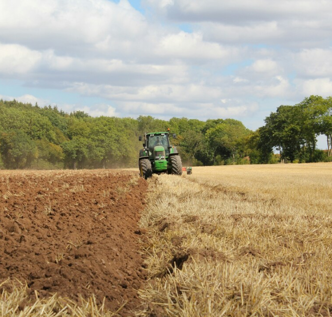  The Hague welcomes Natural Ventures