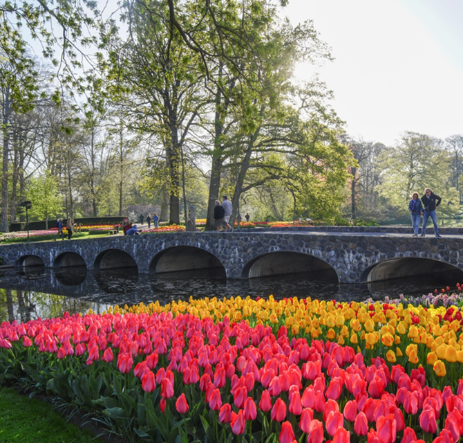 Keukenhof