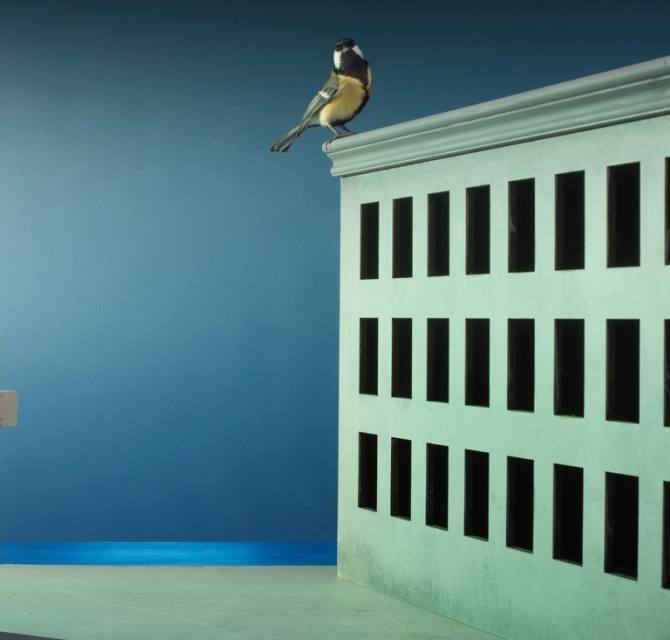 Een vogel zit op de rand van een groen gebouw.