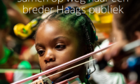Publiekscultuuronderzoek