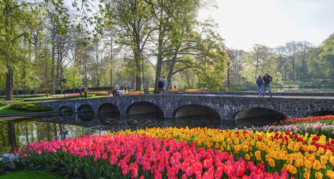 Keukenhof