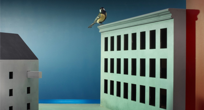 Een vogel zit op de rand van een groen gebouw.