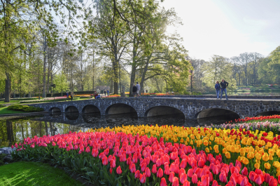 Keukenhof