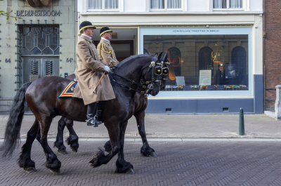Den Haag opent het voorjaar op koninklijke wijze met uitbreiding van themawandeling ‘Royal Tour’