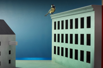 A bird is perched on the edge of a green building.