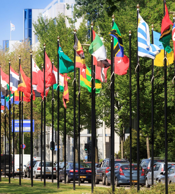 Flag parade at the Johan de Wittlaan in the International Zone source Toolkit The hague