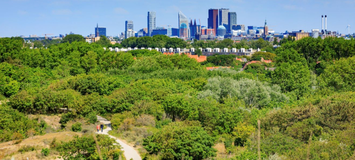 Skyline The Hague view from the dunes Low res