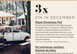 Libelle: 3x zin in december, Best Christmas fair in the country
