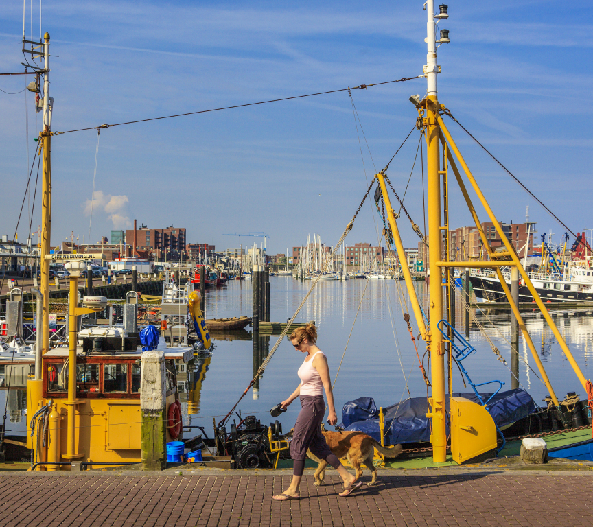 Work and live