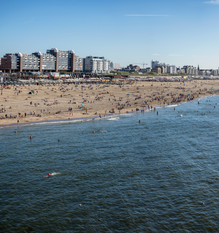 The Hague 